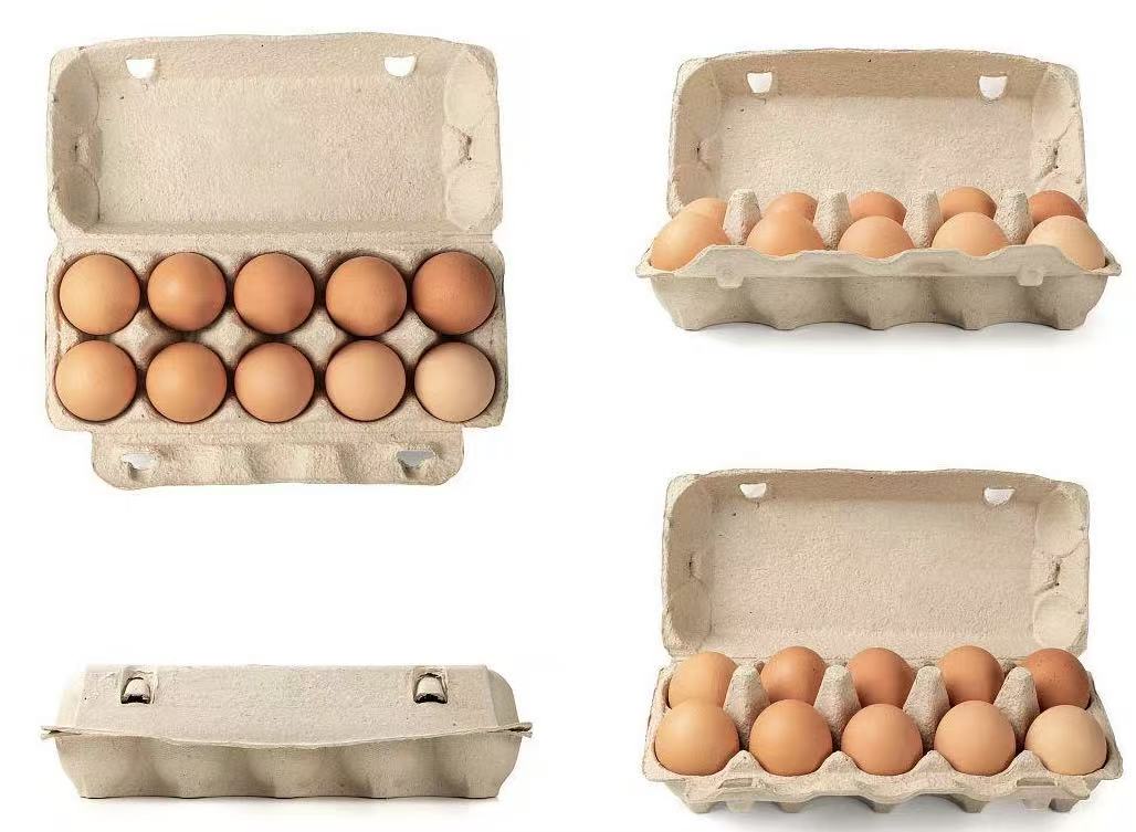 egg container